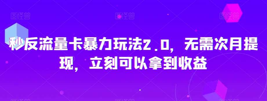 秒反流量卡暴力玩法2.0，无需次月提现，立刻可以拿到收益【揭秘】-赛德副业库