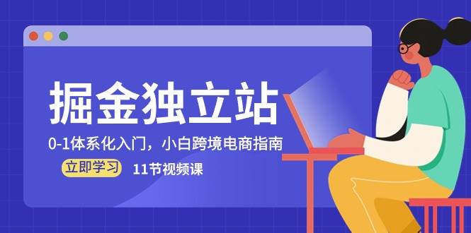 (10536期)掘金 独立站,0-1体系化入门,小白跨境电商指南(11节视频课)-赛德副业库
