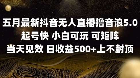 2025五月最新无人直播撸音浪单日产出5张+实操教程【揭秘】-赛德副业库