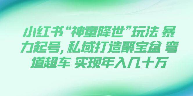 （7673期）小红书“神童降世”玩法 暴力起号,私域打造聚宝盆 弯道超车 实现年入几十万-赛德副业库