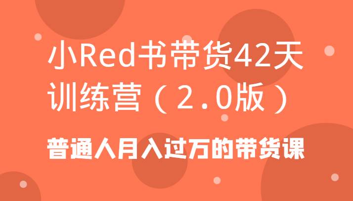 小Red书带货42天训练营（2.0版）普通人月入过万的带货课-赛德副业库