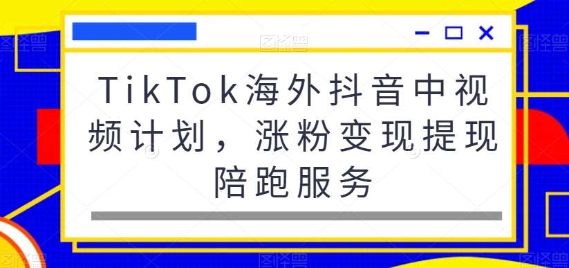 TikTok海外抖音中视频计划，涨粉变现提现陪跑服务-赛德副业库