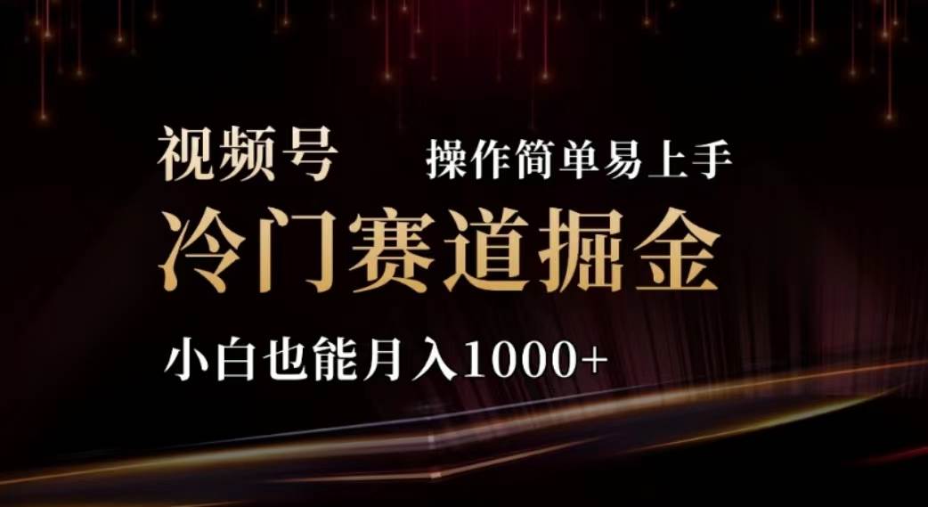 （11378期）2024视频号冷门赛道掘金，操作简单轻松上手，小白也能月入1000+-赛德副业库