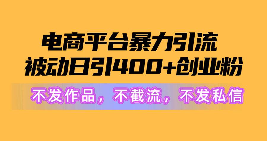 （10168期）电商平台暴力引流,被动日引400+创业粉不发作品，不截流，不发私信-赛德副业库