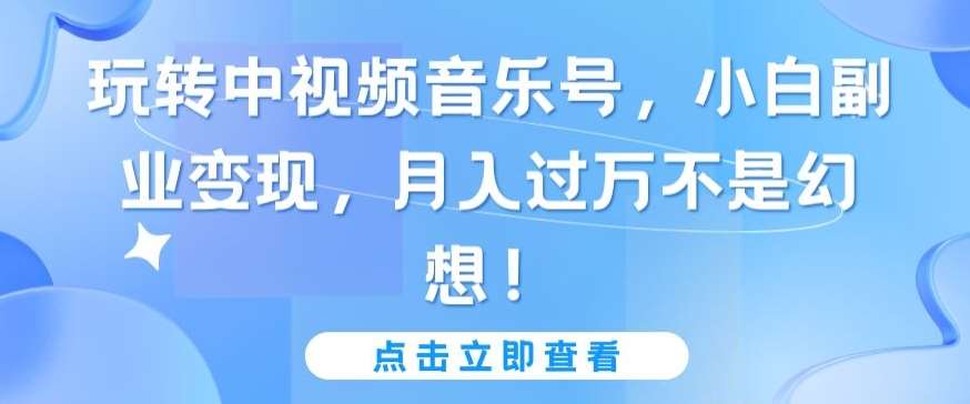 玩转中视频音乐号，小白副业变现，月入过万不是幻想【揭秘】-赛德副业库