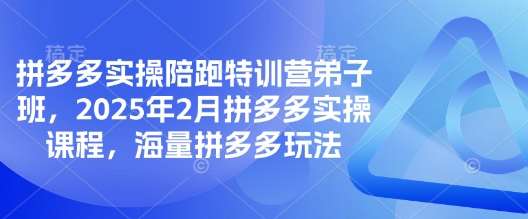 拼多多实操陪跑特训营弟子班，2025年2月拼多多实操课程，海量拼多多玩法-赛德副业库