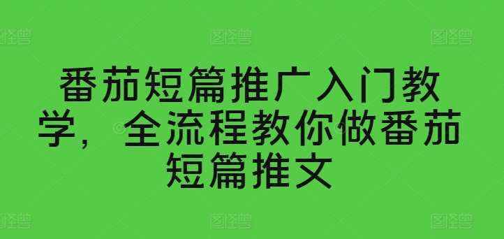 番茄短篇推广入门教学，全流程教你做番茄短篇推文-赛德副业库