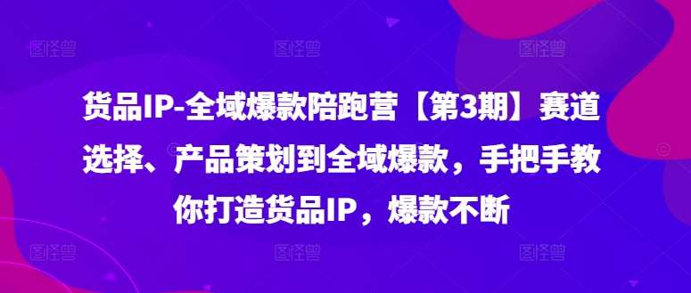 货品IP全域爆款陪跑营【第3期】赛道选择、产品策划到全域爆款，手把手教你打造货品IP，爆款不断-赛德副业库