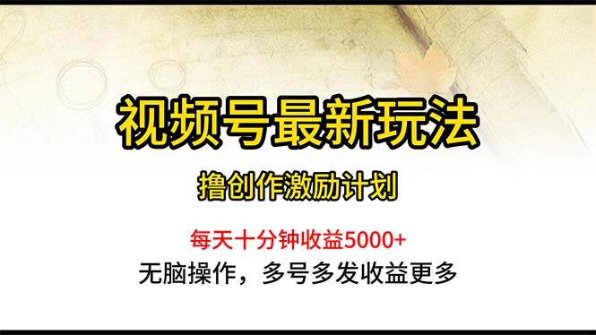 （10591期）视频号最新玩法，每日一小时月入5000+-赛德副业库