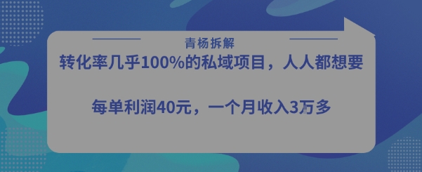 转化率最高的私域项目,每单利润40-50米,月入过1w-赛德副业库