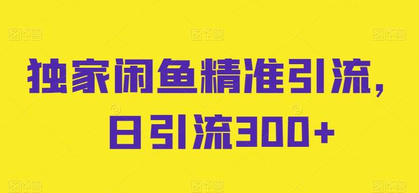 独家闲鱼精准引流，日引流300+【揭秘】-赛德副业库
