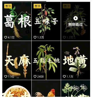 图片[2]-抖音中草药赛道，用AI做中草药故事视频，45条作品涨粉13W，橱窗带货猛猛出单-赛德副业库