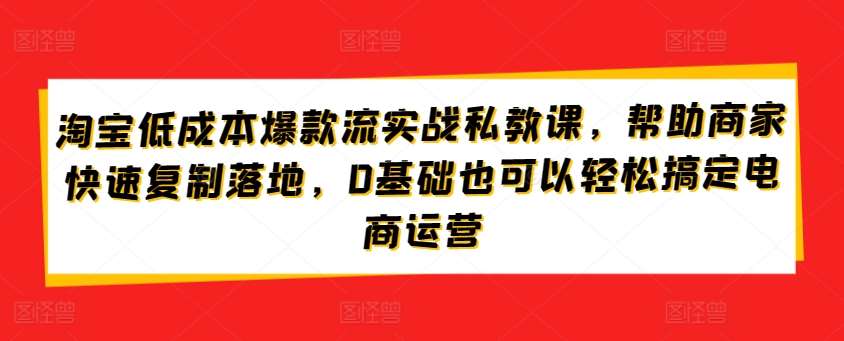 淘宝低成本爆款流实战私教课，帮助商家快速复制落地，0基础也可以轻松搞定电商运营-赛德副业库