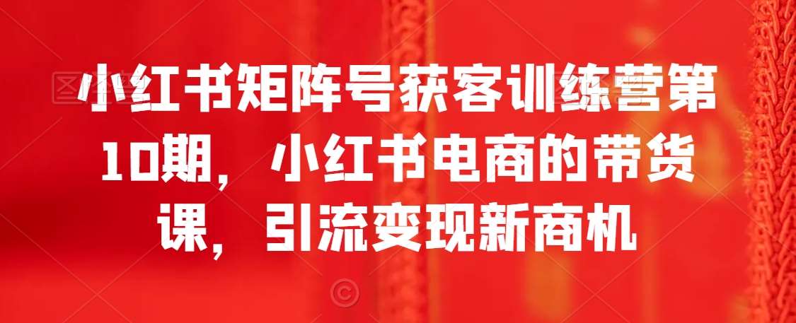 小红书矩阵号获客训练营第10期，小红书电商的带货课，引流变现新商机-赛德副业库