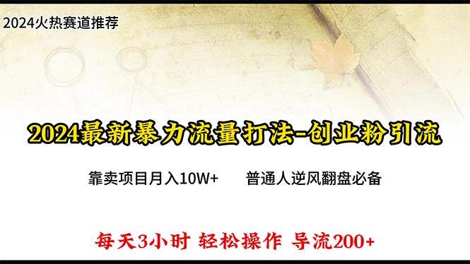 （10151期）2024年最新暴力流量打法，每日导入300+，靠卖项目月入10W+-赛德副业库