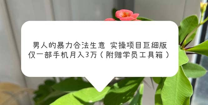男人的暴力合法生意实操项目巨细版:仅一部手机月入3w(附赠学员工具箱)-赛德副业库