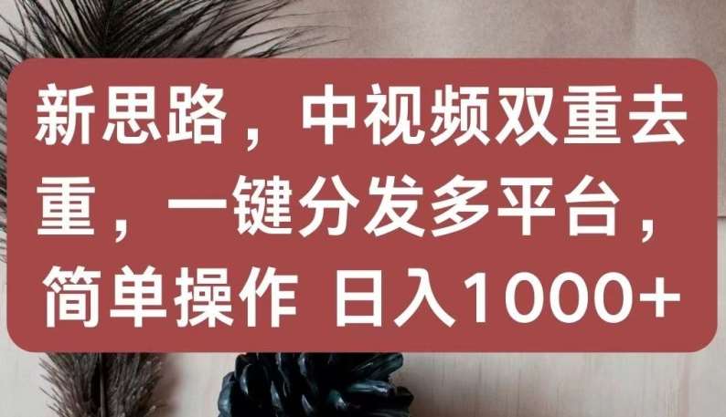 新思路，中视频双重去重，一键分发多平台，简单操作，日入1000+【揭秘】-赛德副业库