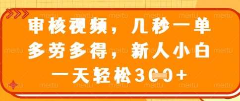 最新审核视频,几秒一单,多劳多得,新人小白一天轻松3张【揭秘】-赛德副业库
