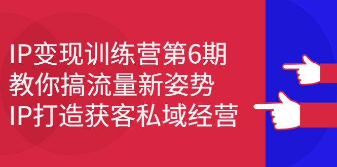 IP变现训练营第6期：教你搞流量新姿势，IP打造获客私域经营-赛德副业库