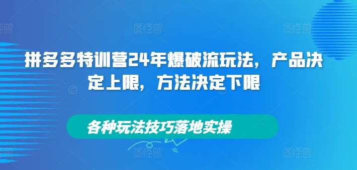 拼多多特训营24年爆破流玩法,产品决定上限,方法决定下限,各种玩法技巧落地实操-赛德副业库