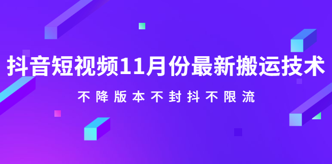抖音短视频11月份最新搬运技术，不降版本不封抖不限流！【视频课程】-赛德副业库