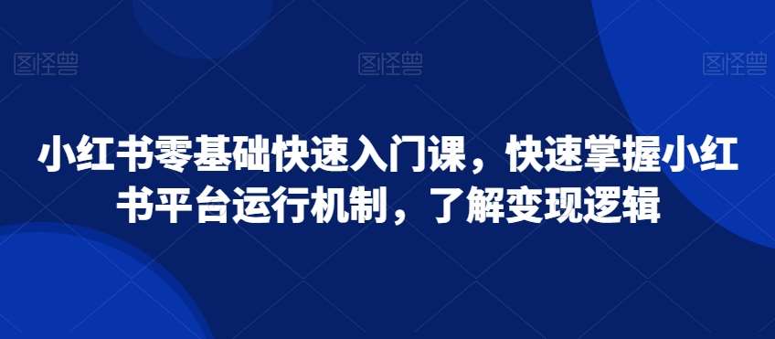 小红书零基础快速入门课，快速掌握小红书平台运行机制，了解变现逻辑-赛德副业库