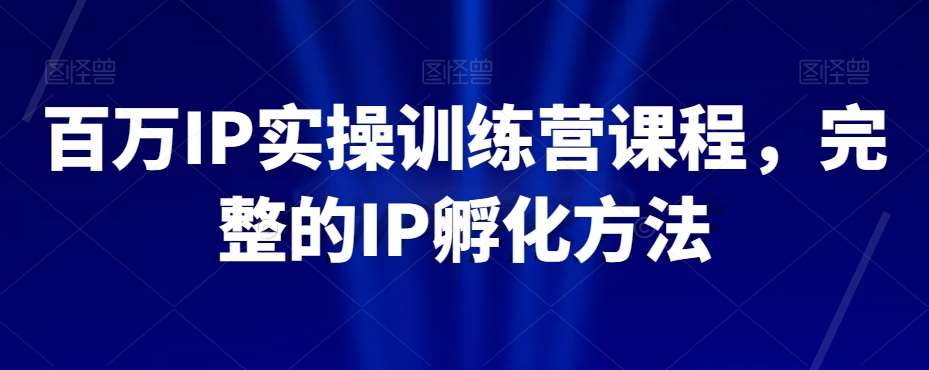 百万IP实操训练营课程，完整的IP孵化方法-赛德副业库