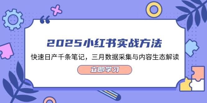 (14347期)2025小红书实战方法,快速日产千条笔记,三月数据采集与内容生态解读-赛德副业库