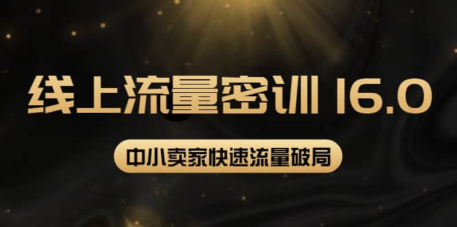 2022秋秋线上流量密训16.0：包含 暴力引流10W+中小卖家流量破局技巧 等等！-赛德副业库