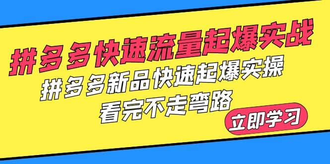 拼多多-快速流量起爆实战，拼多多新品快速起爆实操，看完不走弯路-赛德副业库