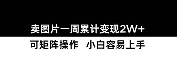 小红书【卖图片】一周累计变现2W+小白易上手-赛德副业库