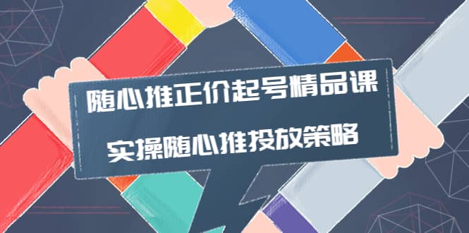 随心推正价起号精品课，实操随心推投放策略（5节课-价值298）-赛德副业库