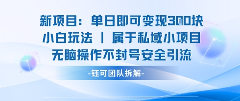 新项目单日即可变现3张的小白玩法无脑操作不封号安全引流-赛德副业库