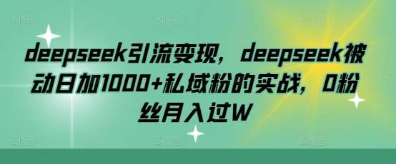 deepseek引流变现，deepseek被动日加1000+私域粉的实战，0粉丝月入过W-赛德副业库