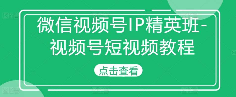 微信视频号IP精英班-视频号短视频教程-赛德副业库