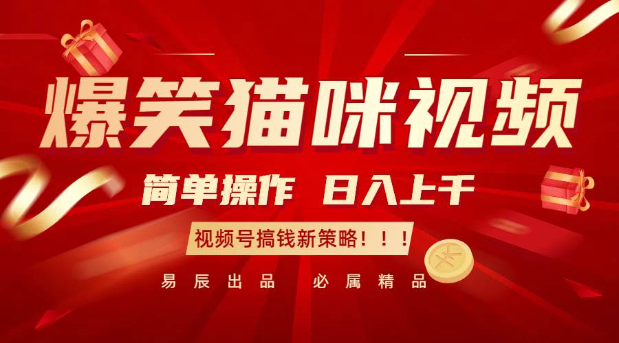 爆笑猫咪视频：简单操作，日入过千，视频号搞钱新策略！-赛德副业库