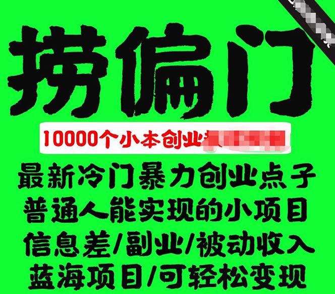 千款捞偏门小本创业小项目，总有一款适合你【无水印】-赛德副业库