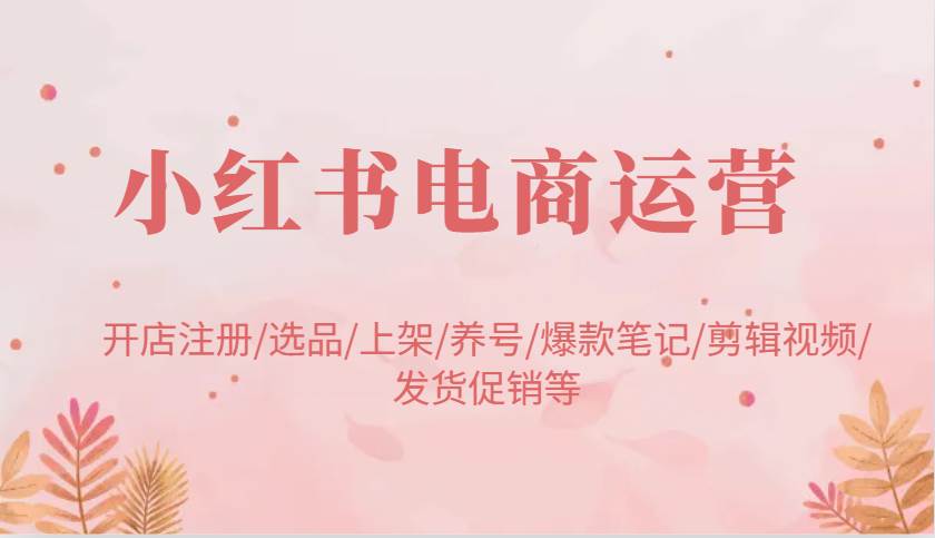 小红书电商运营：开店注册/选品/上架/养号/爆款笔记/剪辑视频/发货促销等-赛德副业库