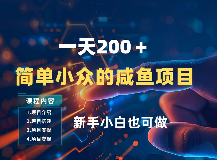 一天收入2张，一个简单小众的咸鱼项目，0门槛小白也能做-赛德副业库