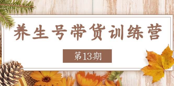 养生号带货训练营【第13期】收益更稳定的玩法，让你带货收益爆炸-赛德副业库