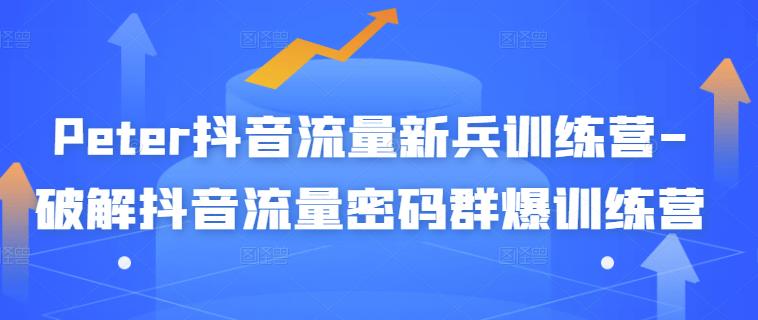 Peter抖音流量新兵训练营-破解抖音流量密码群爆训练营(新兵)