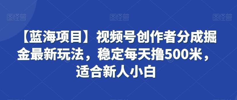 【蓝海项目】视频号创作者分成掘金最新玩法，稳定每天撸500米，适合新人小白【揭秘】-赛德副业库