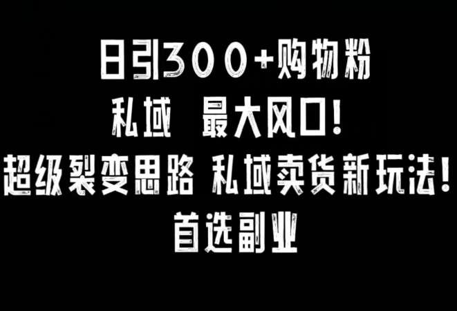 日引300+购物粉，超级裂变思路，私域卖货新玩法，小红书首选副业【揭秘】-赛德副业库