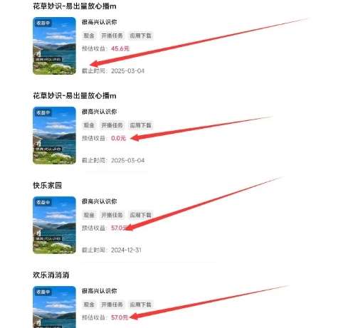 图片[3]-磁力聚星游戏副业陪跑训练营1.0，长期稳定项目，有人一周干了1K+-赛德副业库