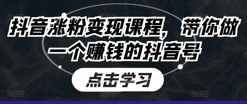 抖音涨粉变现课程，带你做一个赚钱的抖音号-赛德副业库