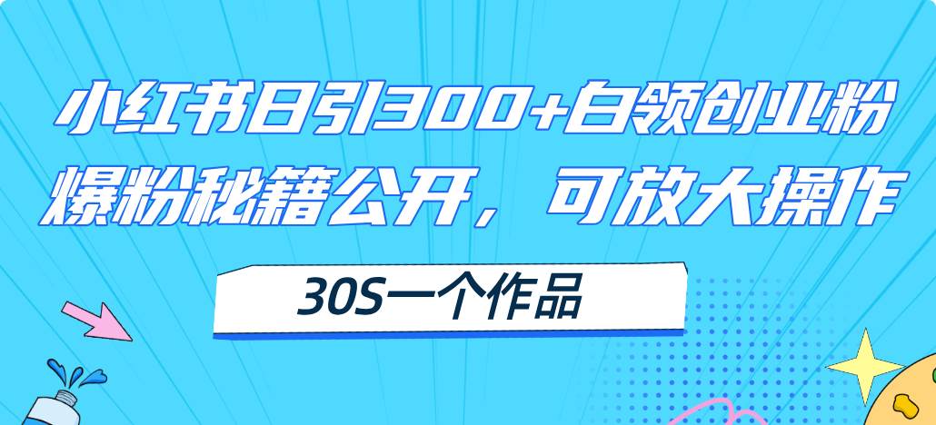 （11692期）小红书日引300+高质白领创业粉，可放大操作，爆粉秘籍！30s一个作品-赛德副业库