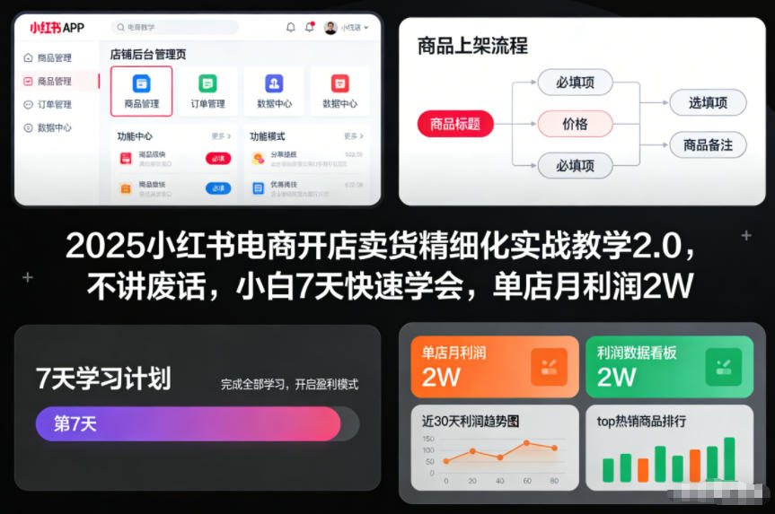 2025小红书电商开店卖货精细化实战教学2.0，不讲废话，小白7天快速学会，单店月利润2W-赛德副业库