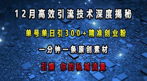 最新高效引流技术深度揭秘 ，单号单日引300+精准创业粉，一分钟一条原创素材，引爆你的私域流量-赛德副业库