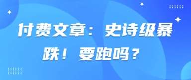 付费文章:史诗级暴跌!要跑吗?-赛德副业库