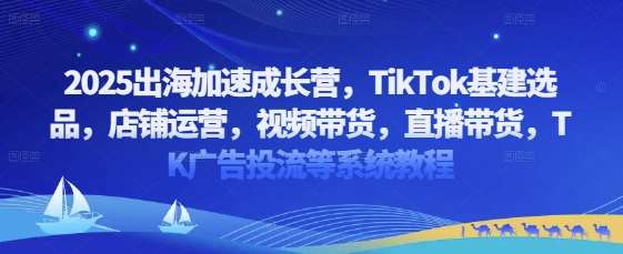2025出海加速成长营，TikTok基建选品，店铺运营，视频带货，直播带货，TK广告投流等系统教程-赛德副业库
